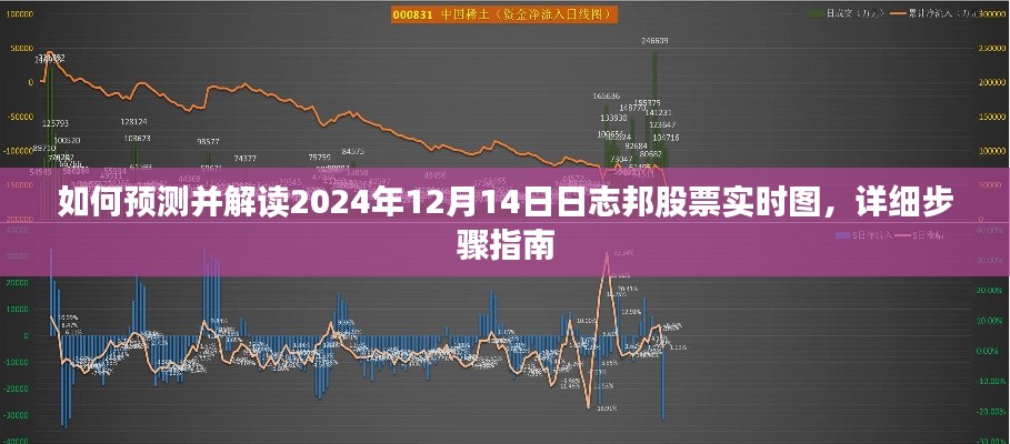 详细步骤指南，预测并解读日志邦股票实时图（以2024年12月14日为例）