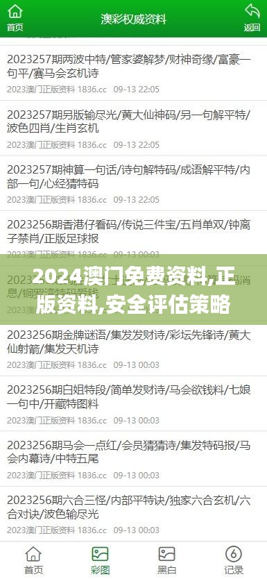 2024澳门免费资料,正版资料,安全评估策略_Prestige4.736