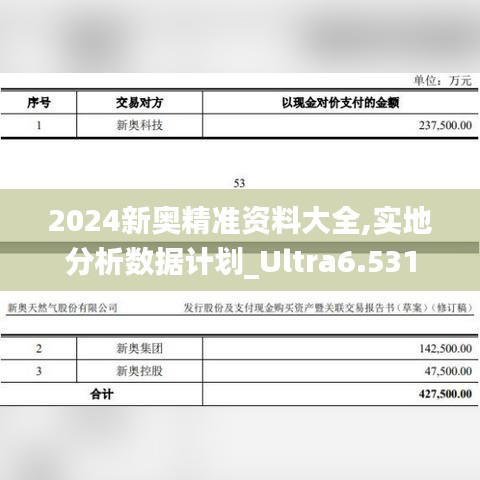 2024新奥精准资料大全,实地分析数据计划_Ultra6.531