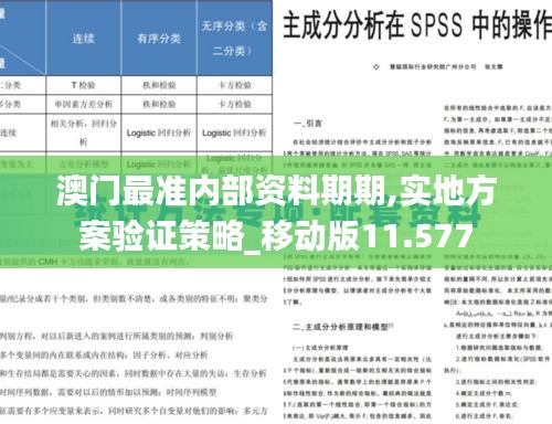 澳门最准内部资料期期,实地方案验证策略_移动版11.577