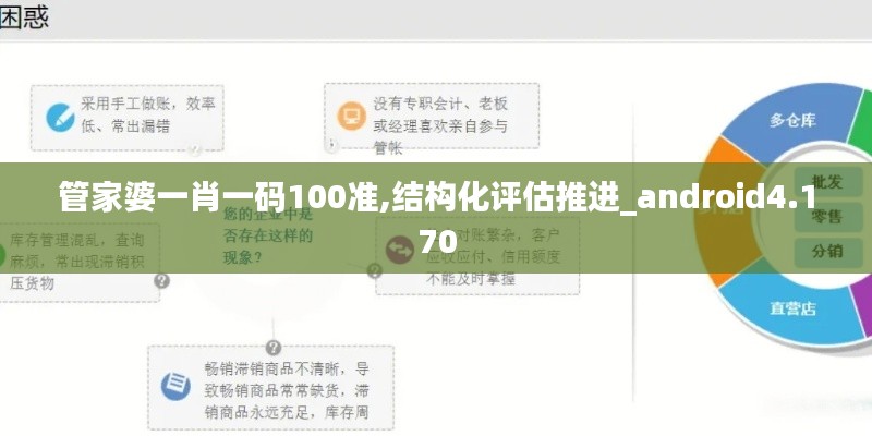 管家婆一肖一码100准,结构化评估推进_android4.170