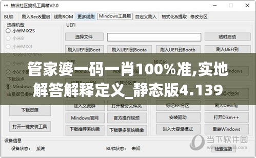 管家婆一码一肖100%准,实地解答解释定义_静态版4.139