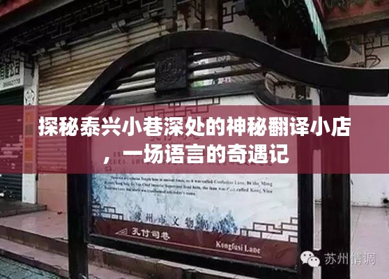 泰兴小巷深处的翻译奇遇，语言探秘与神秘小店之旅