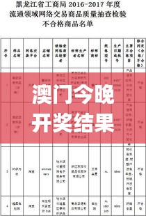 澳门今晚开奖结果开奖记录表今晚,实地说明解析_游戏版2.272