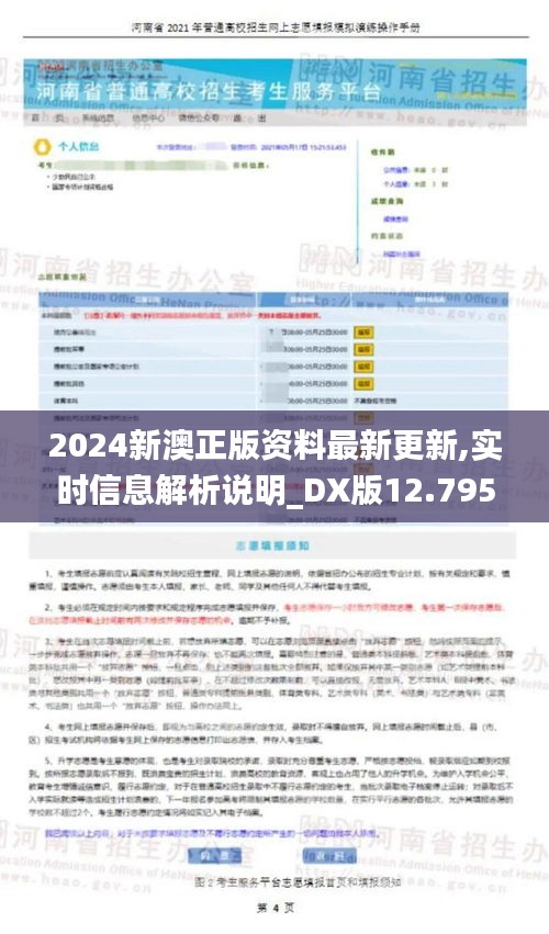 2024新澳正版资料最新更新,实时信息解析说明_DX版12.795