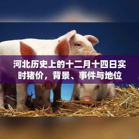 河北十二月十四日实时猪价背景、事件及地位概述