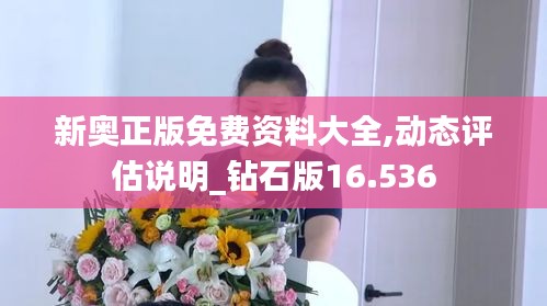 新奥正版免费资料大全,动态评估说明_钻石版16.536