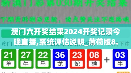 澳门六开奖结果2024开奖记录今晚直播,系统评估说明_薄荷版8.489