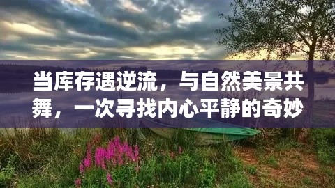 逆流中的库存之旅，与自然共舞，寻找内心平静