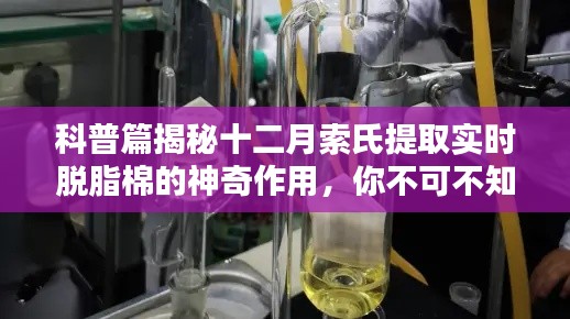 揭秘十二月索氏提取实时脱脂棉的神奇功效，科普知识大解析！