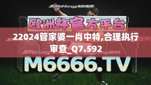 22024管家婆一肖中特,合理执行审查_Q7.592