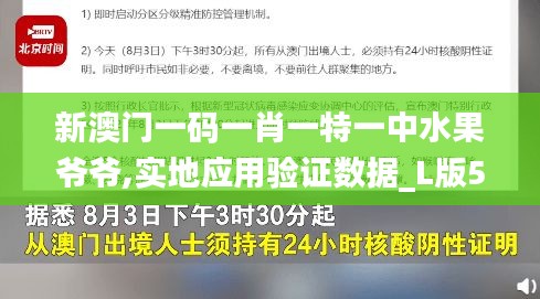 新澳门一码一肖一特一中水果爷爷,实地应用验证数据_L版5.294