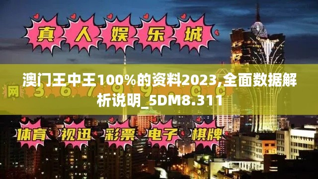 澳门王中王100%的资料2023,全面数据解析说明_5DM8.311