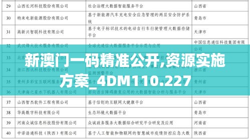 新澳门一码精准公开,资源实施方案_4DM110.227