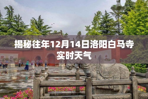 揭秘往年洛阳白马寺在十二月十四日的实时天气状况