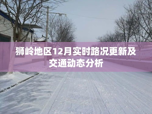 狮岭地区12月实时路况更新与交通动态解析