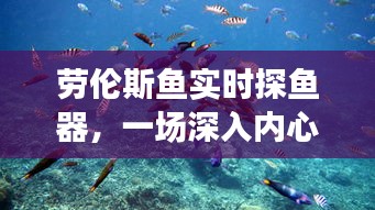 劳伦斯鱼实时探鱼器，深入内心的自然探索之旅