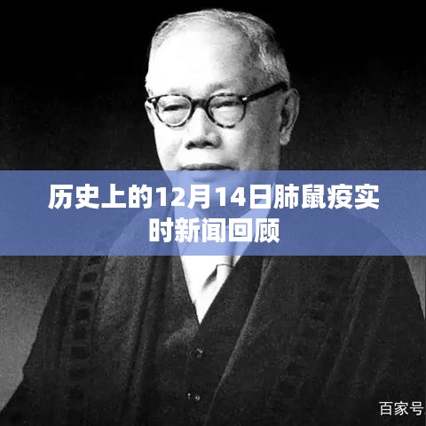 历史上的肺鼠疫实时新闻回顾，聚焦12月14日事件