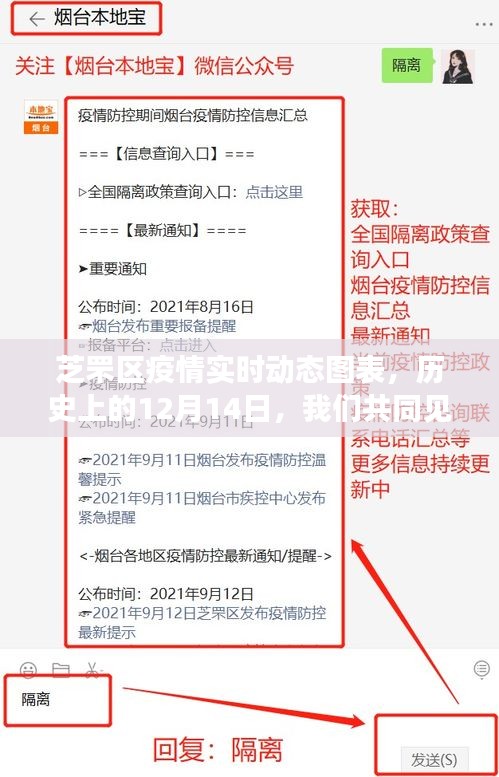 芝罘区疫情实时动态图表，共同见证历史上的12月14日