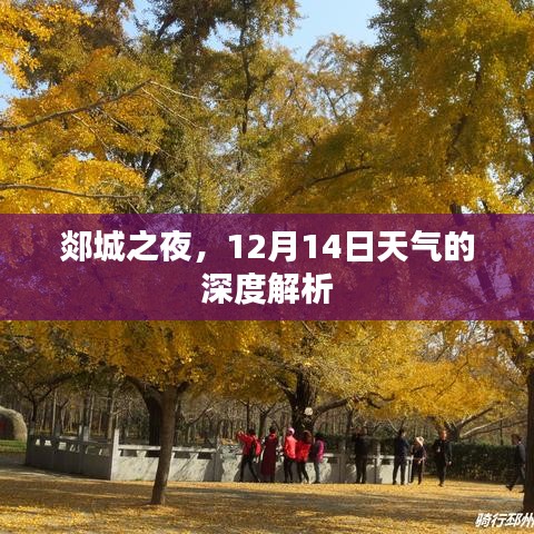 郯城之夜，12月14日天气深度解析