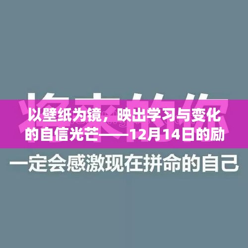 壁纸映照自信光芒，学习与变化的励志瞬间 12月14日记录