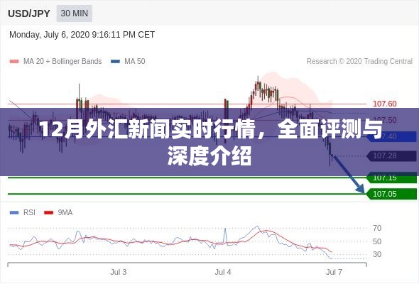 12月外汇新闻行情实时更新，全面评测与深度介绍