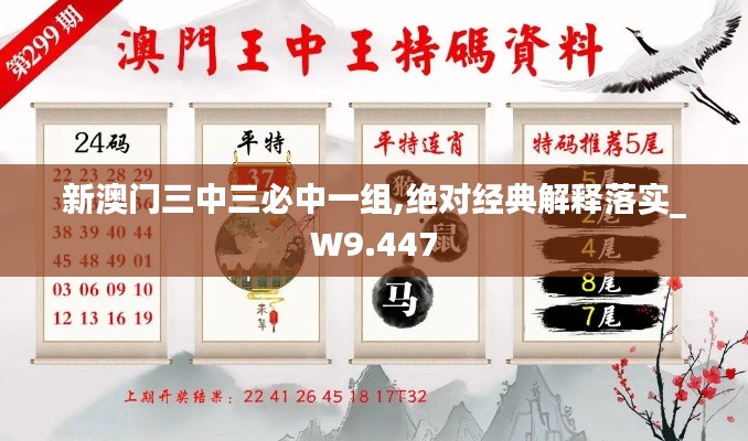 新澳门三中三必中一组,绝对经典解释落实_W9.447