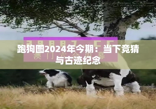 跑狗图2024年今期：当下竞猜与古迹纪念