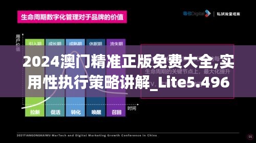 2024澳门精准正版免费大全,实用性执行策略讲解_Lite5.496