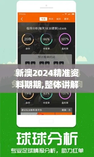 新澳2024精准资料期期,整体讲解执行_6DM10.211