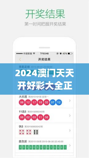 2024澳门天天开好彩大全正版,计划反馈执行_进阶版1.646