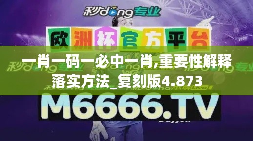 一肖一码一必中一肖,重要性解释落实方法_复刻版4.873