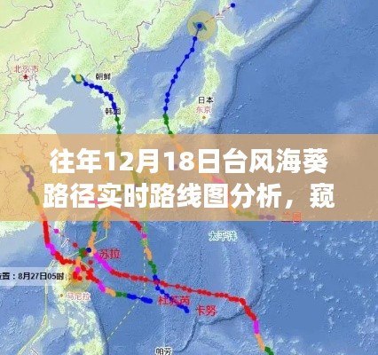 往年台风海葵路径实时路线图分析，预测科学的进步与争议探讨