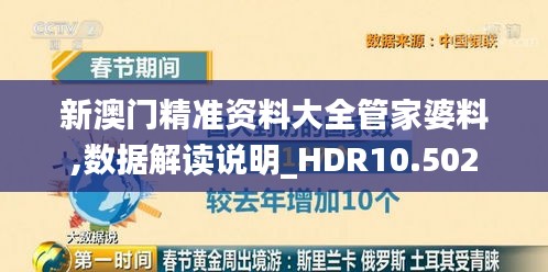 新澳门精准资料大全管家婆料,数据解读说明_HDR10.502