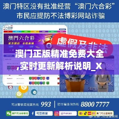 澳门正版精准免费大全,实时更新解析说明_X版6.727