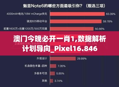 澳门今晚必开一肖1,数据解析计划导向_Pixel16.846