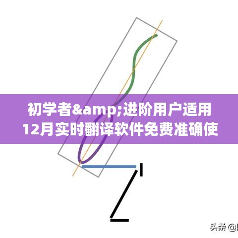 初学者与进阶用户适用的实时翻译软件免费使用指南（十二月版）