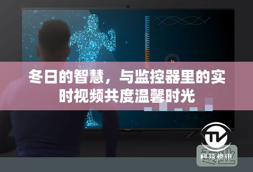 冬日的智慧，监控器下的温馨时光