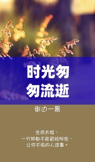 时光匆匆流逝，揭秘为何十二月过得飞快的原因