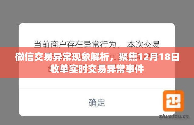 微信交易异常事件解析，聚焦实时交易异常事件及应对之策（12月18日专刊）