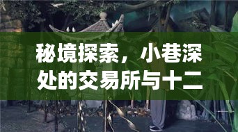 秘境探索揭秘，小巷深处的交易所缔造十二月十八日交易传奇