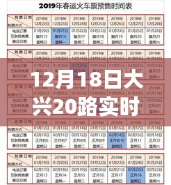 2024年12月18日 第15页