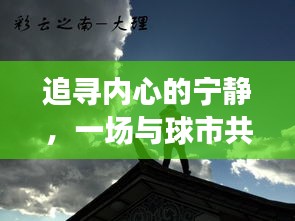 2024年12月18日 第11页