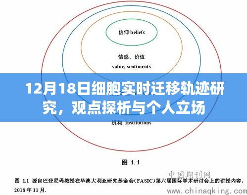 12月18日细胞实时迁移轨迹研究深度解析与个人观点分享