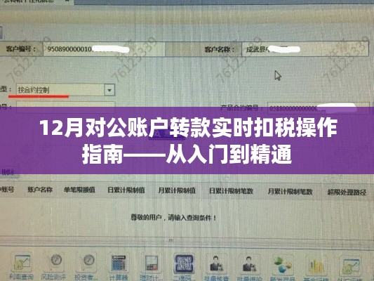 从入门到精通，12月对公账户转款实时扣税操作指南