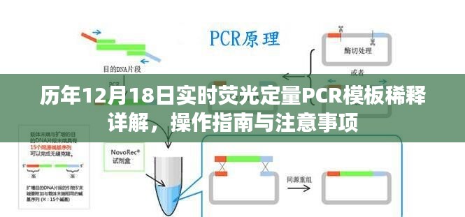 历年12月18日实时荧光定量PCR模板稀释详解及操作指南，注意事项与操作指南