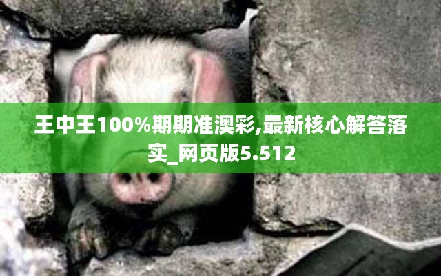 王中王100%期期准澳彩,最新核心解答落实_网页版5.512