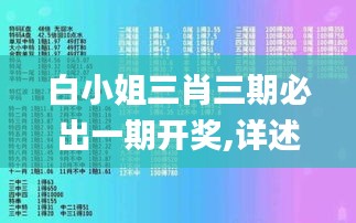 白小姐三肖三期必出一期开奖,详述解答解释落实_2D6.566