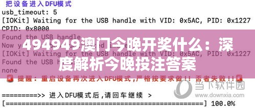 494949澳门今晚开奖什么：深度解析今晚投注答案