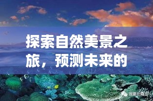 自然探索之旅，中国经济繁荣与心灵宁静的预测之旅